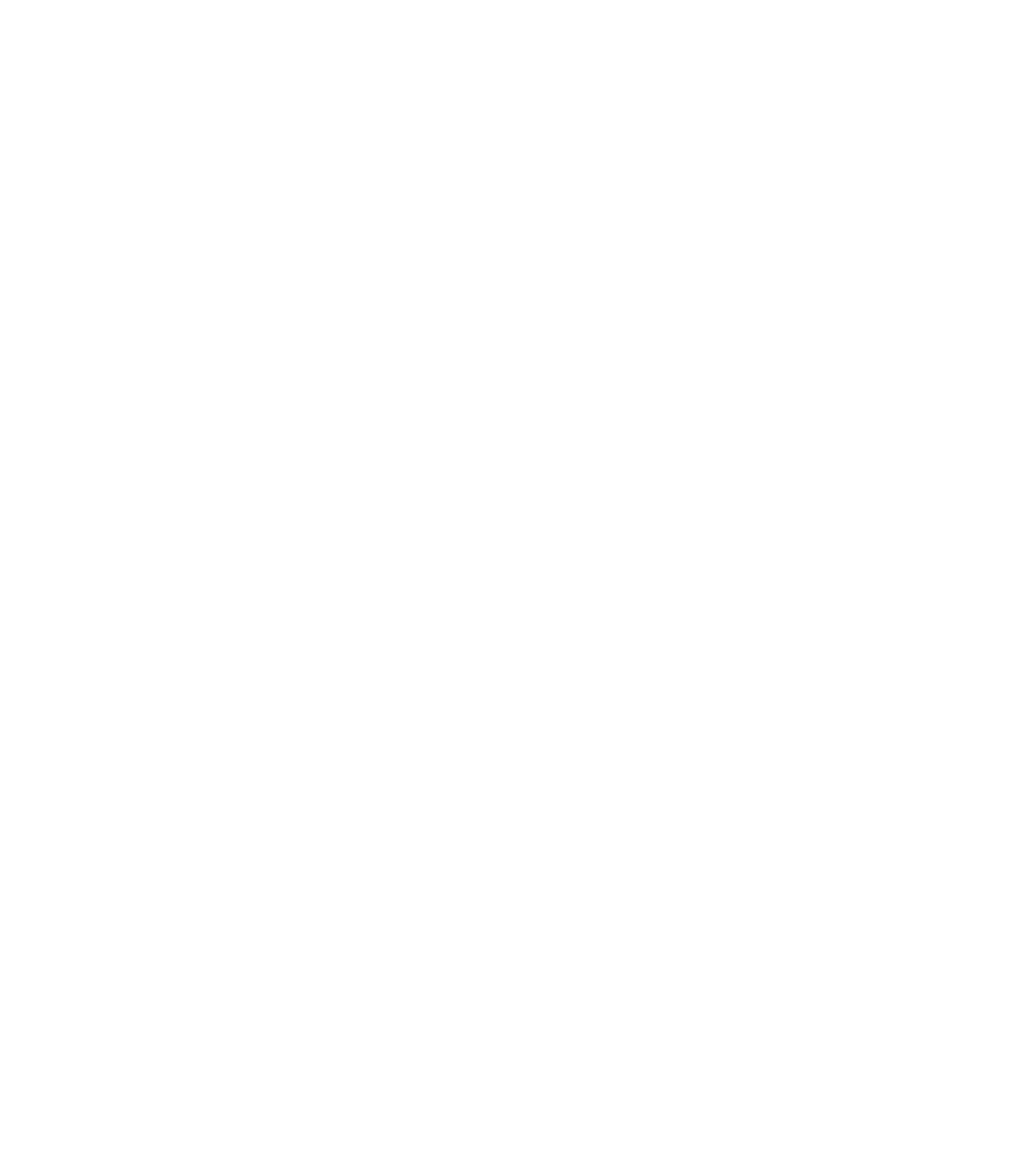 The Dirty Middle logo: a hand-drawn bee with wings spread, the band name lettered around it in script